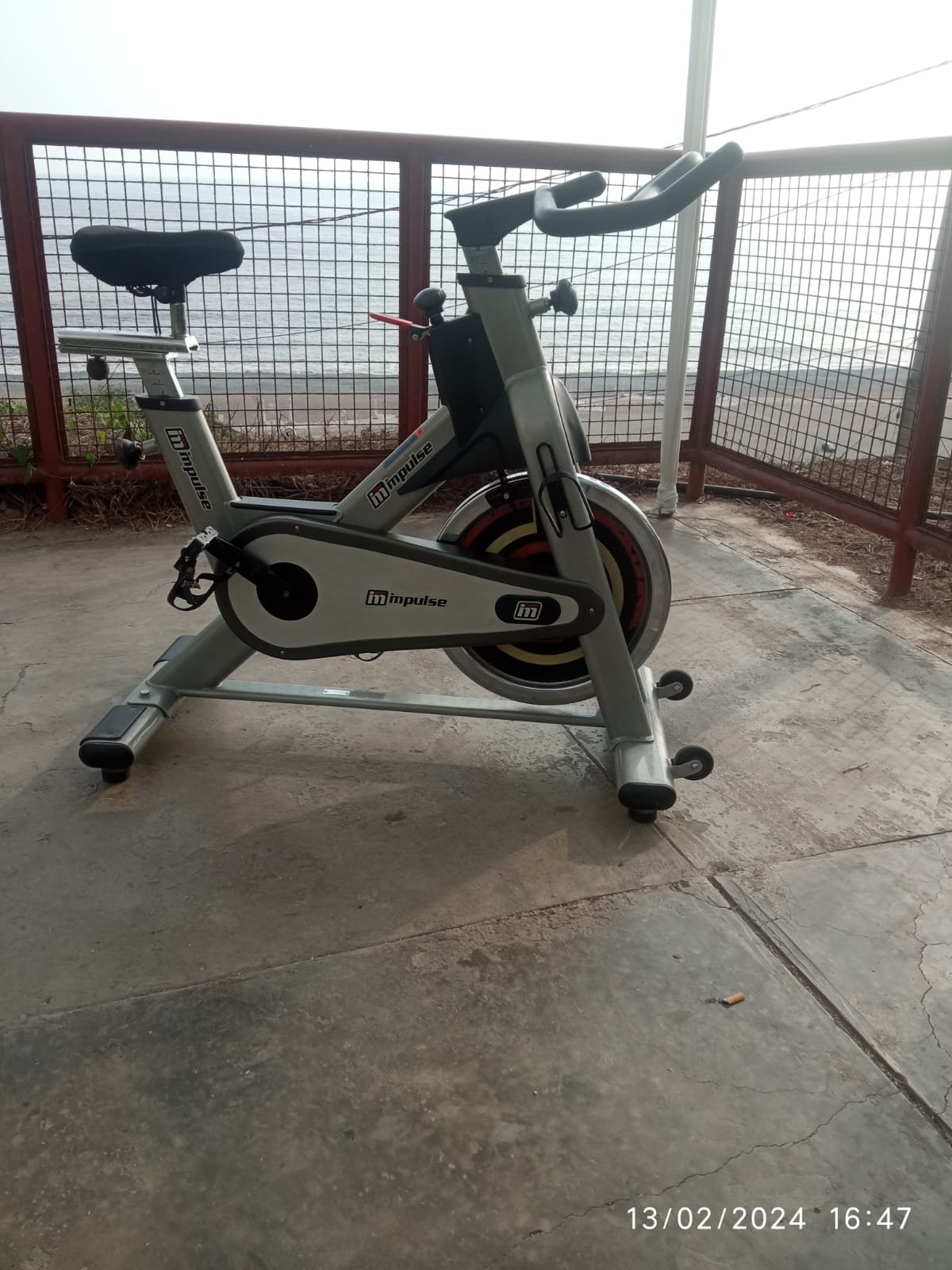 Imagen de WhatsApp 2024-02-13 a las 17.53.40_e201a403