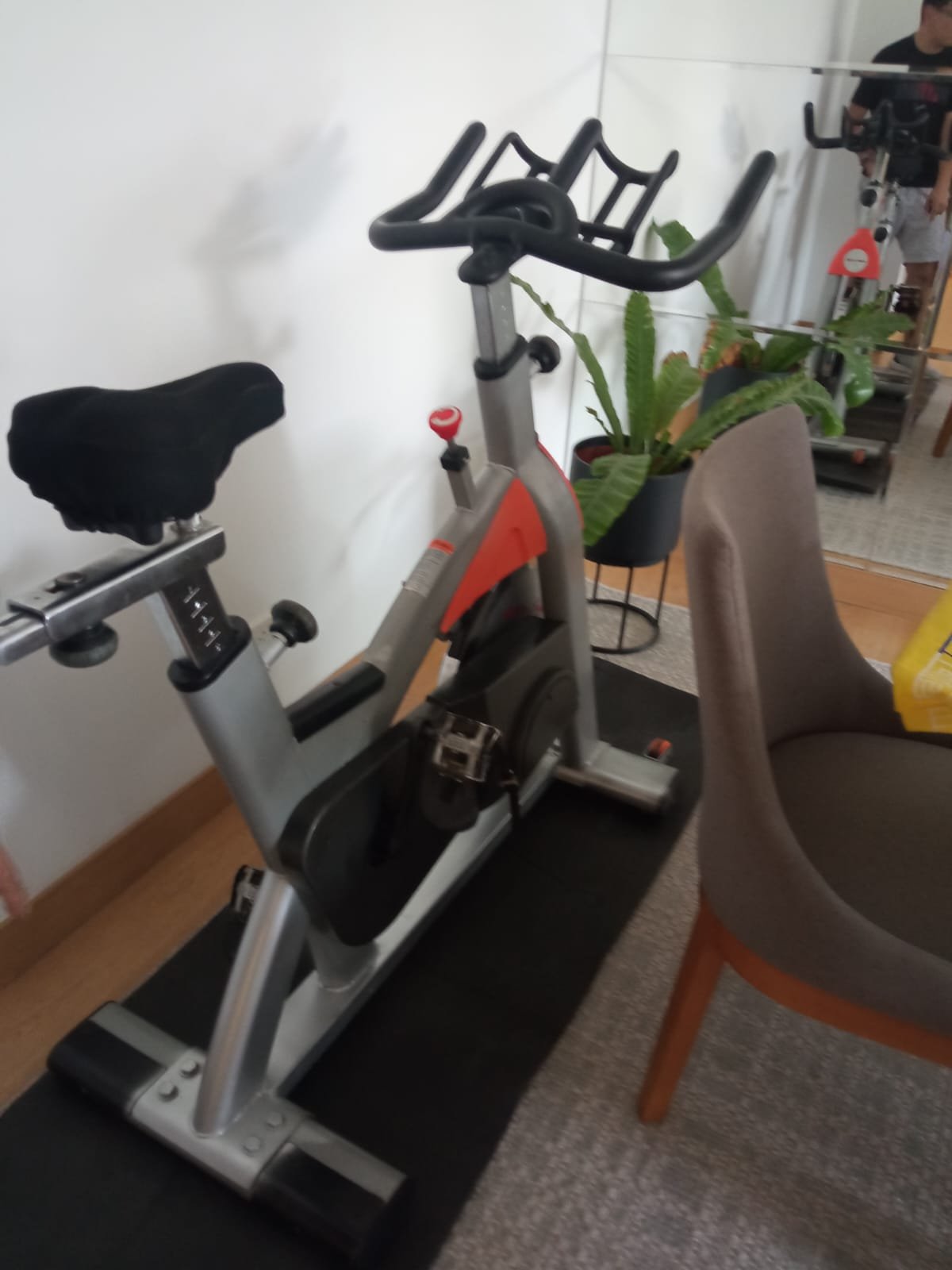 Imagen de WhatsApp 2024-05-18 a las 21.36.10_73ef1030